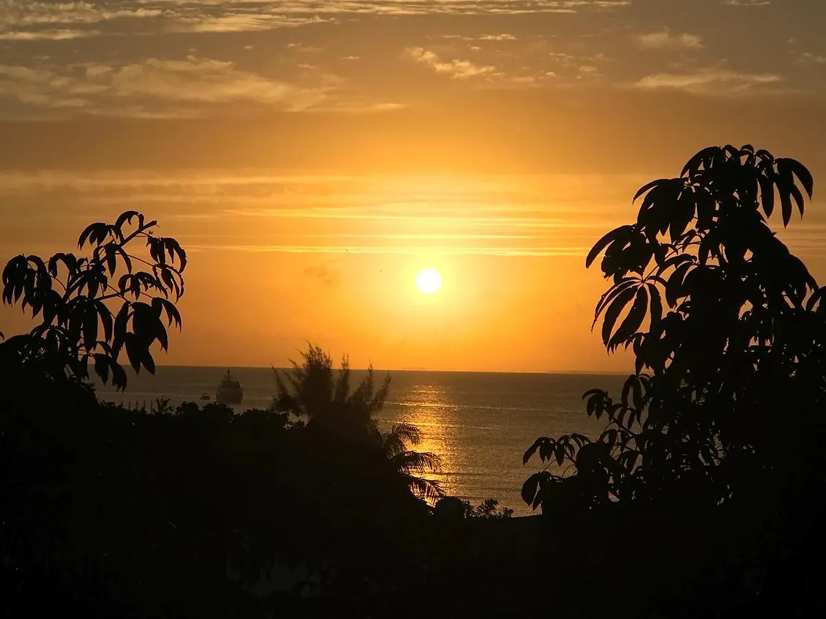 Bed & Breakfast Embarcadero Maya B&B Playa del Carmen